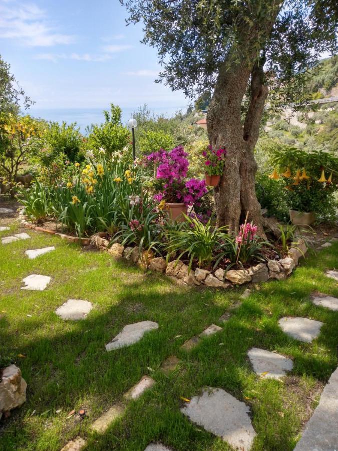 Villino Brunetto Azienda Agrituristica Camogli Eksteriør bilde