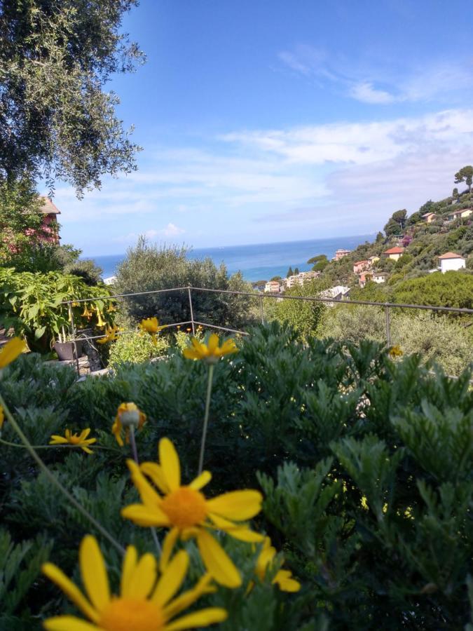 Villino Brunetto Azienda Agrituristica Camogli Eksteriør bilde