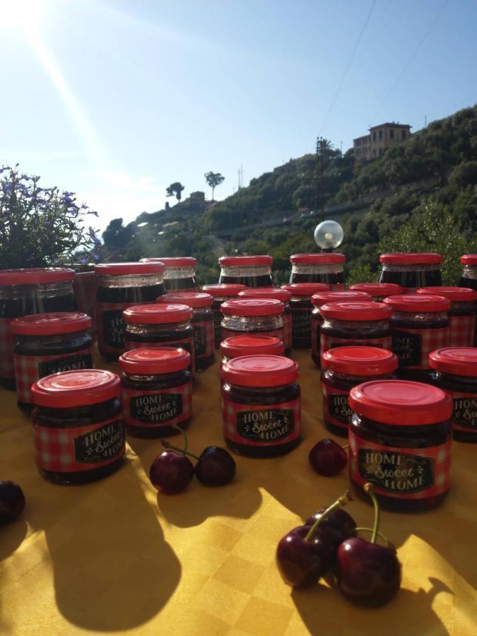 Villino Brunetto Azienda Agrituristica Camogli Eksteriør bilde