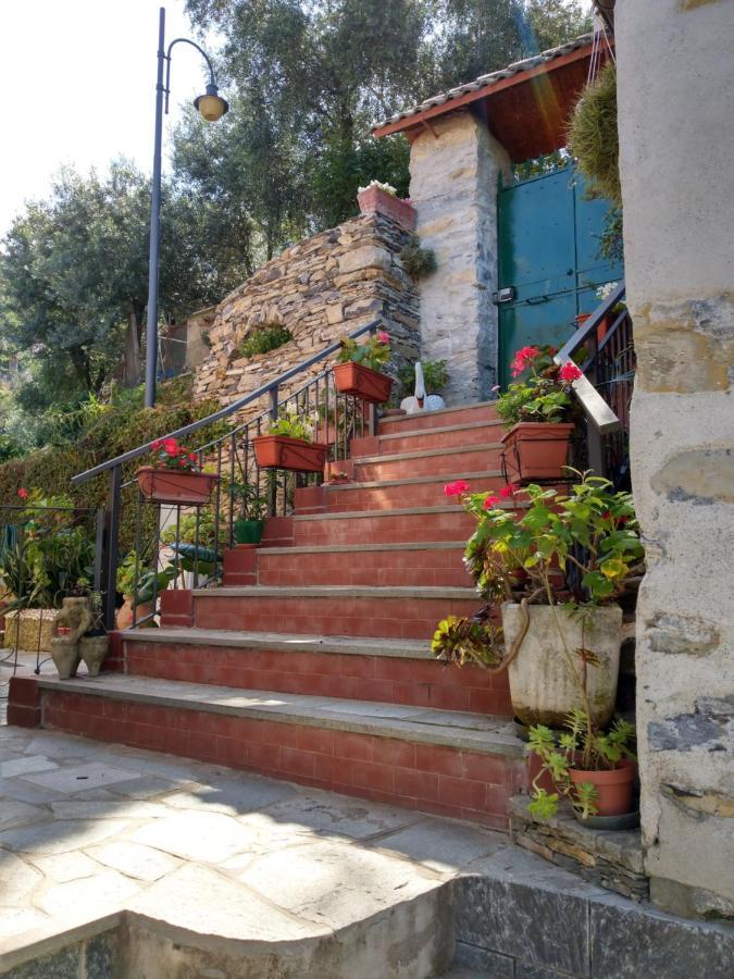 Villino Brunetto Azienda Agrituristica Camogli Eksteriør bilde