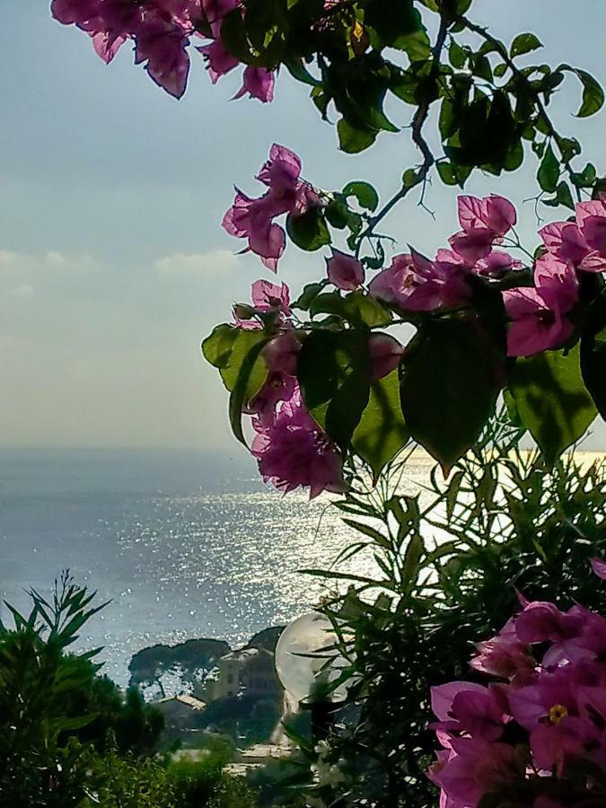 Villino Brunetto Azienda Agrituristica Camogli Eksteriør bilde